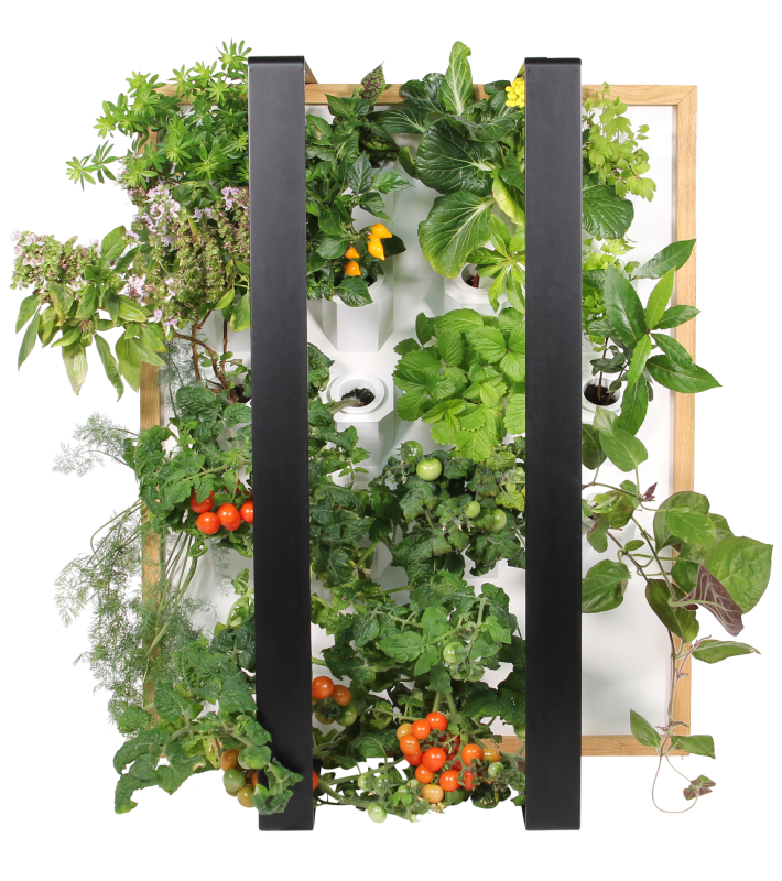 Vertical Garden von Myriad mit Tomatenpflanzen