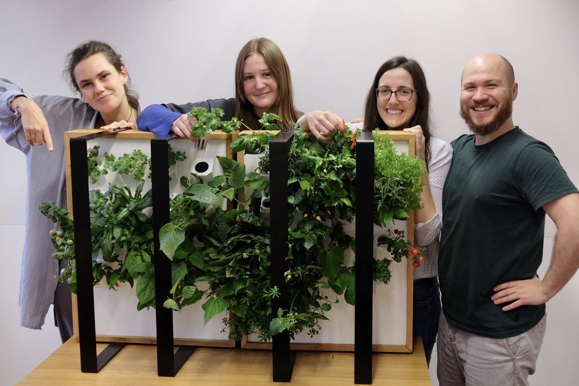 Vier junge Menschen vor vertical garden